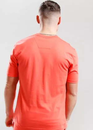 Marshall Artist msatm10827 078 coral