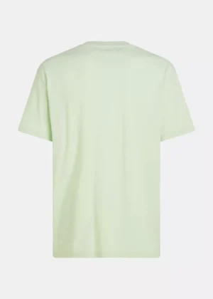 Tommy Jeans dm0dm17993 lxy opal green