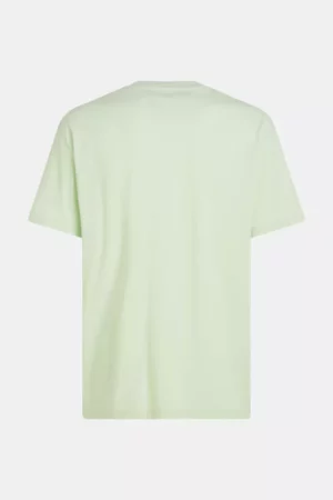 Tommy Jeans dm0dm17993 lxy opal green