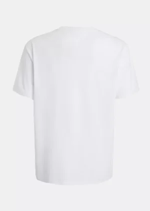 Tommy Jeans dm0dm18572 ybr white