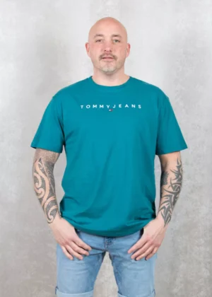 Tommy Jeans dm0dm17993 ct0 timeless teal