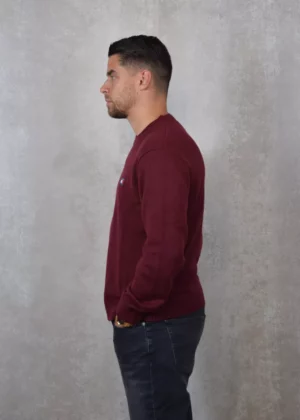 Tommy Jeans dm0dm20706 vlp deep rouge