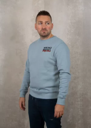 Wrong Friends wf design house sweater light blue