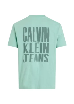 Calvin Klein Jeans j30j327523 mr5 fresh mint