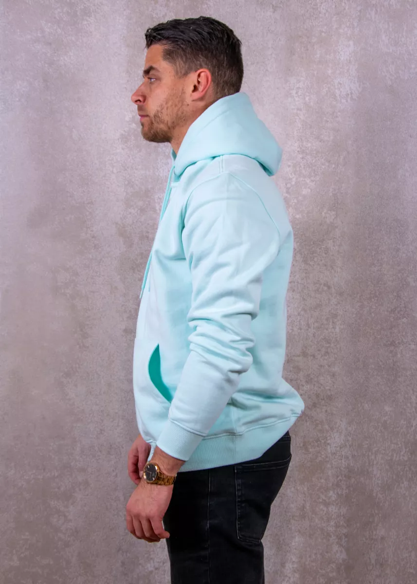 Tommy Jeans dm0dm20746 l6v spring mint