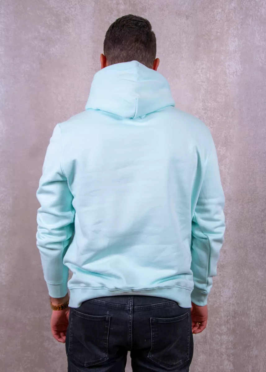 Tommy Jeans dm0dm20746 l6v spring mint