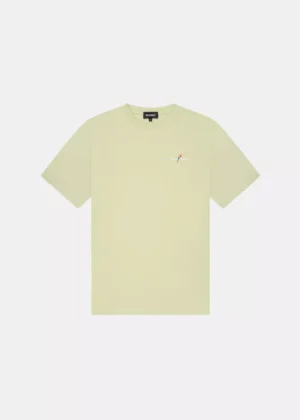 Quotrell resort t-shirt light green/white